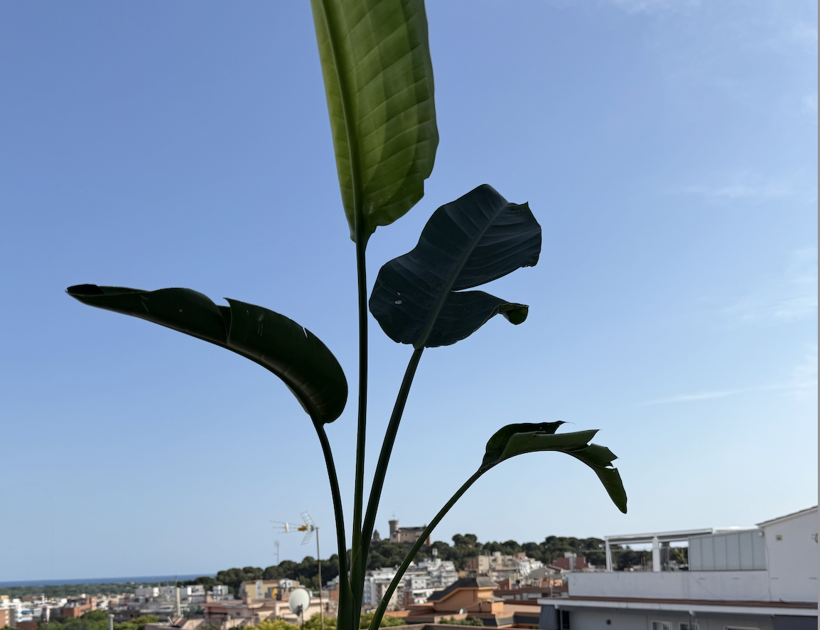 Sustainable coliving building in Castelldefels with energy efficient design
